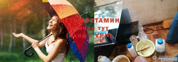 сатива Вяземский