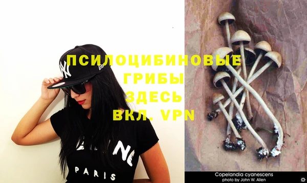 меф Медвежьегорск
