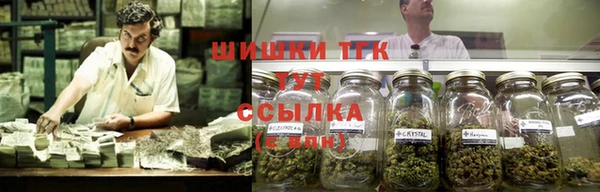 гидра Горно-Алтайск
